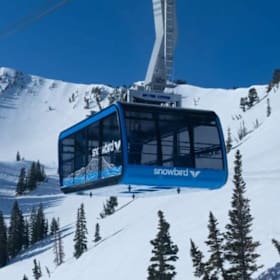 Photo of Hit the Slopes!