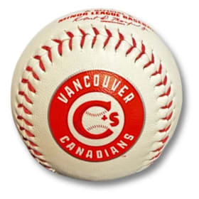 2 Fun Family Outings (Canadians Baseball + Day at Museum) item