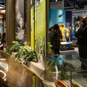 2 Fun Family Outings (Canadians Baseball + Day at Museum) item