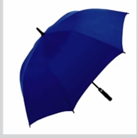Photo of Umbrella - Wynne Yellowjackets
