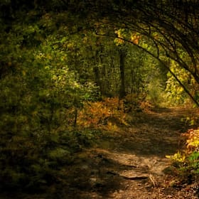 Photo of DeCesare, Michael - Daylight Ahead - $450 + $39.60 sales tax