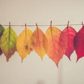 Photo of Autumn Adventures- Period 2