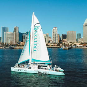Photo of Triton Catamaran Harbor Cruise for Four