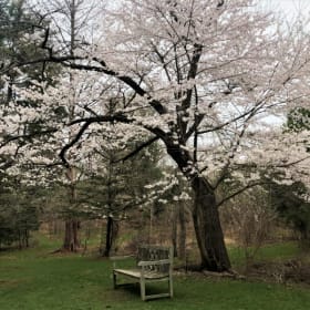 Japanese Hill Sign item