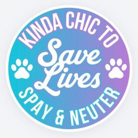 Photo of Car Decal