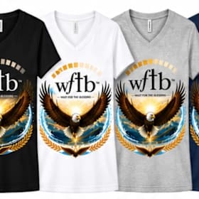 Turtle/Eagle - Unisex V-neck SOFT STYLE V-Neck T-Shirt item
