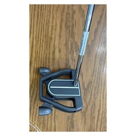 Photo of Ray Cook 2025 Silver Ray SR Putter
