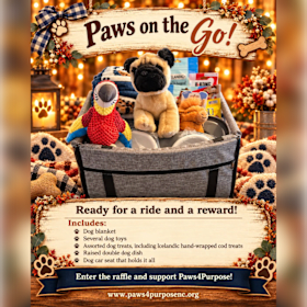Photo of #16 - Paws on the Go!