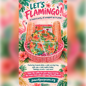 Photo of #14 - Let's Flamingo