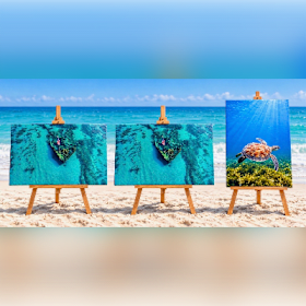 Photo of Sea Turtle Print on Canvas by Joe Semkow Photography