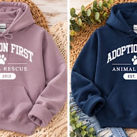 Adoption First Classic Hoodie -- Est. 2013 item