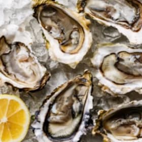 One dozen oysters for walk-in purchase item