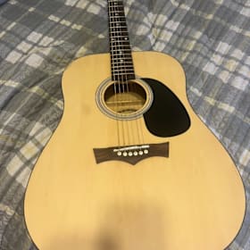 Photo of Peavey Acoustic Guitar