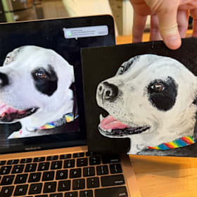 Photo of 6X6 canvas or 6X8 paper pet portrait.  hand painted