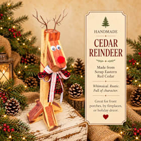 Photo of Reindeer4Hope Donor Reindeer