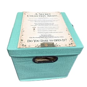 Photo of 16. Blind Date with a Book Basket