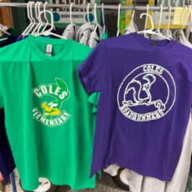 Photo of Short Sleeves Green & Purple T-Shirts (XS - XL)