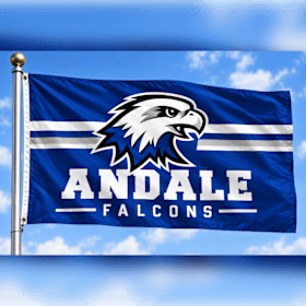 Photo of Falcon Flag 2x3