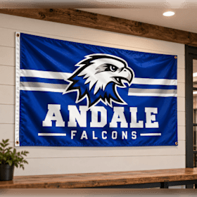 Photo of Falcon Flag 2x3
