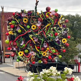 Photo of Jill Ziccardi Apple
