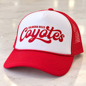 Photo of Coyotes Hat