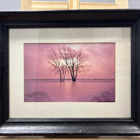 Chamberland - Arbres item