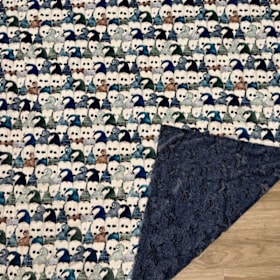 Photo of Gnomes Minky Blanket