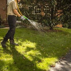 Photo of 🌱 One Year of Premium Lawn Care