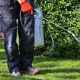 Photo of One Year of Pest Control Services