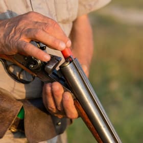 Photo of South America Dove Hunting for Five