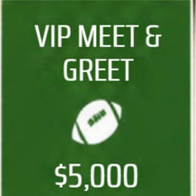 VIP Meet & Greet Sponsor item