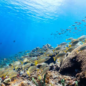Photo of 4-Night All-Inclusive Caribbean Dream