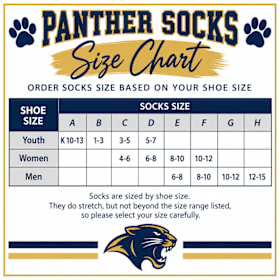 Photo of Navy sock Panther logo