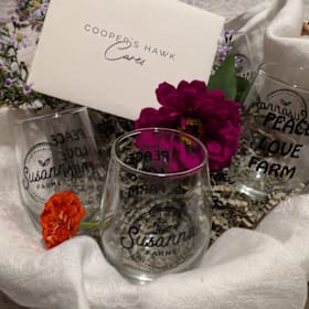 Photo of 16. Wine tasting for 4 w/ 4 stemless wine glasses