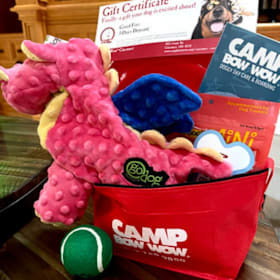 Photo of Camp BowWow Daycare Package