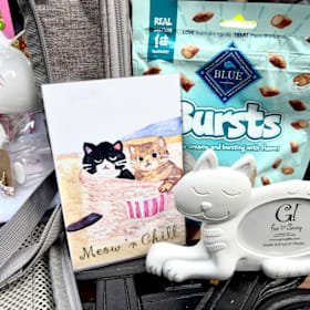 Photo of Pampered Cat Package