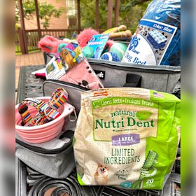 Photo of Pampered Dog Basket