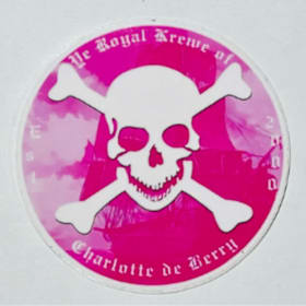 Photo of Vinyl Logo w/ Pink Ship Sticker