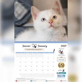 Photo of 2027 Calendar // Calendrier 2027