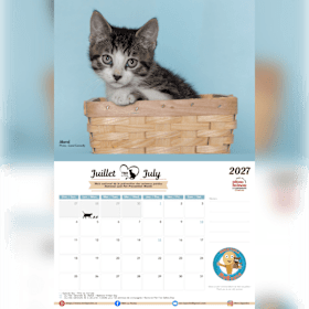 Photo of 2027 Calendar // Calendrier 2027