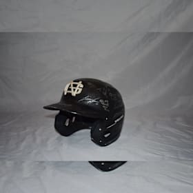 Photo of NGU Team Signed Baseball Helmet