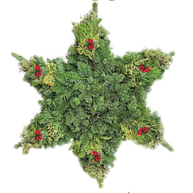 Photo of Snowflake