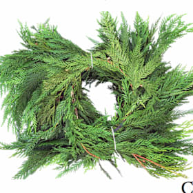 Photo of 25 Foot Cedar Garland