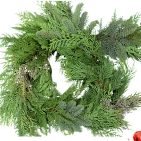 Photo of 25 Foot Mixed Garland