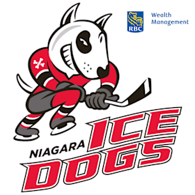 Photo of Four Niagara IceDogs Tickets