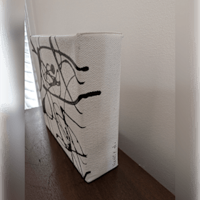 Photo of Black and White Canvas