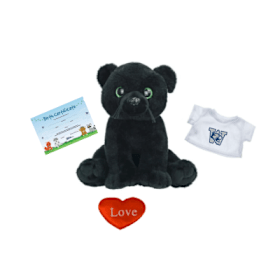 Photo of Build A Panther Take Home Kit