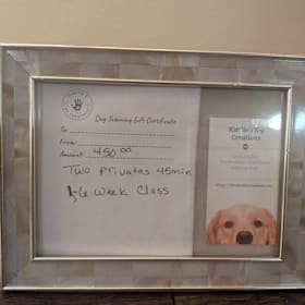Photo of Dog Training Package with Kirsties K-9 Creations