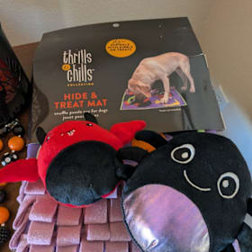 Photo of Halloween Basket