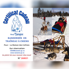 Photo : Randonnée en traîneau à chiens – Meute Tanwen